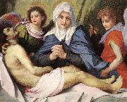 Andrea del Sarto Lamentation of Christ gg Spain oil painting artist